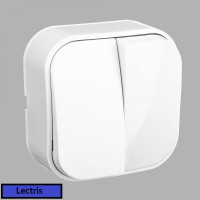 Lectris выключатель двухклавишный наружный белый LCE004  